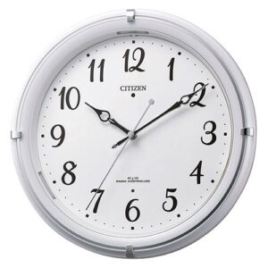 cha_202004k90706319pl