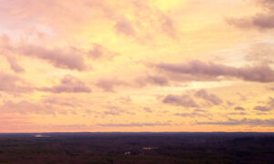 mcdermottpublishing.com 002