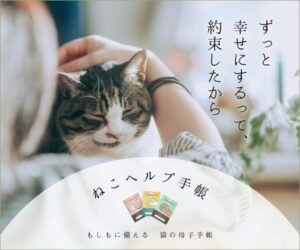 pet 202306231019339310