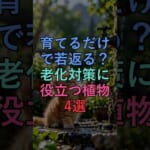 94342-BN17kwMOO50